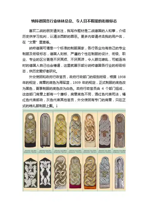 纳粹德国各行业林林总总、令人目不暇接的衔级标志