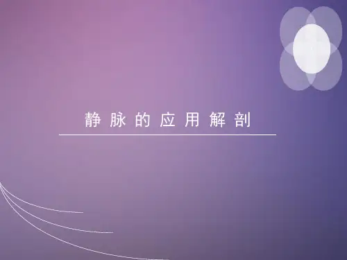 (完整版)静脉解剖PPT