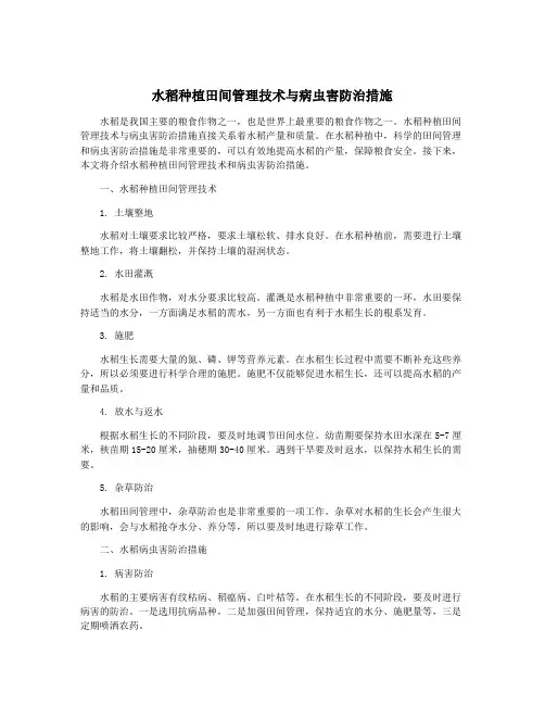 水稻种植田间管理技术与病虫害防治措施