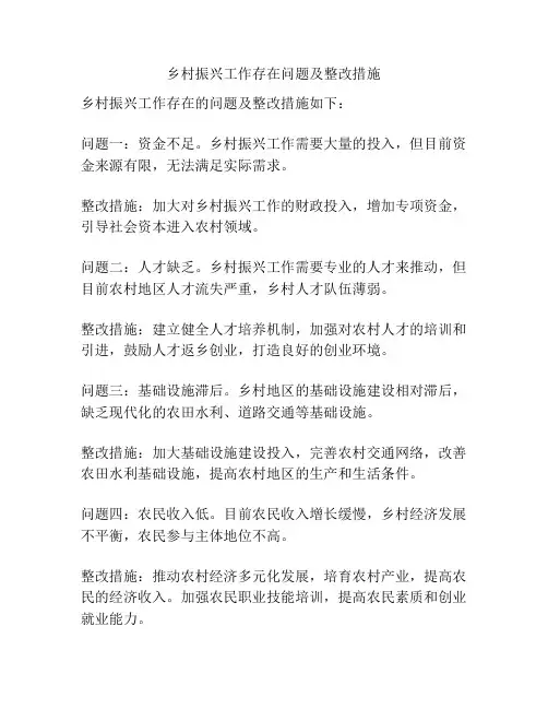乡村振兴工作存在问题及整改措施