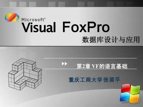 VF第二章 VF的语言基础Y