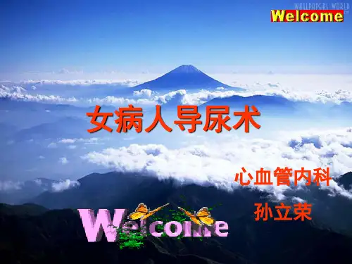 女病人导尿术