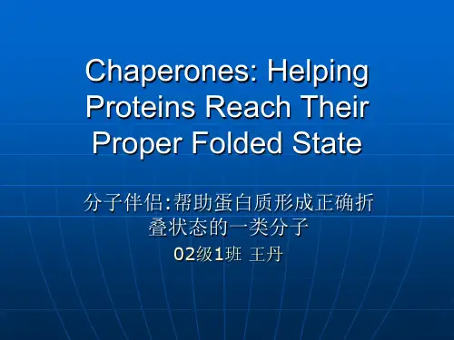 分子伴侣_帮助蛋白质形成正确折叠状态的一类分子