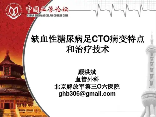 缺血糖尿病足CTO病变特点和治疗技术课件