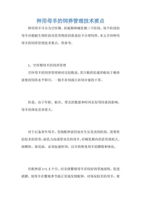 种用母羊的饲养管理技术要点