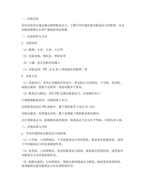 根系实验报告