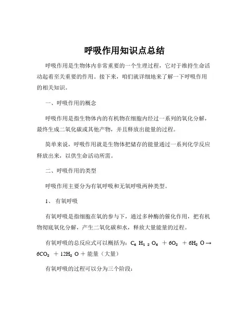 呼吸作用知识点总结