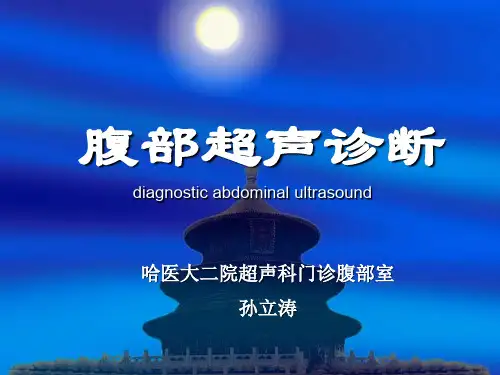 腹部超声诊断