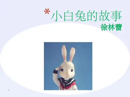 小白兔的故事ppt课件
