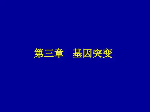 第三章 基因突变