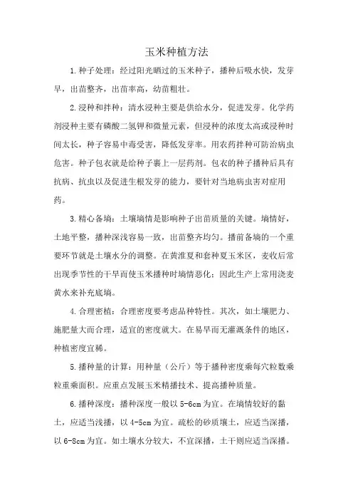 玉米种植方法