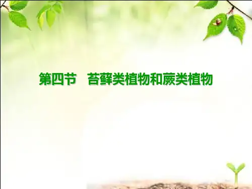 苔藓植物和蕨类植物课件