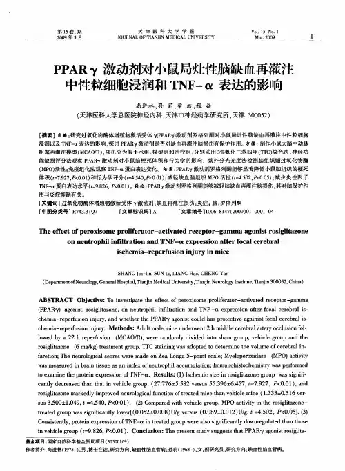 PPARγ激动剂对小鼠局灶性脑缺血再灌注中性粒细胞浸润和TNF-α表达的影响