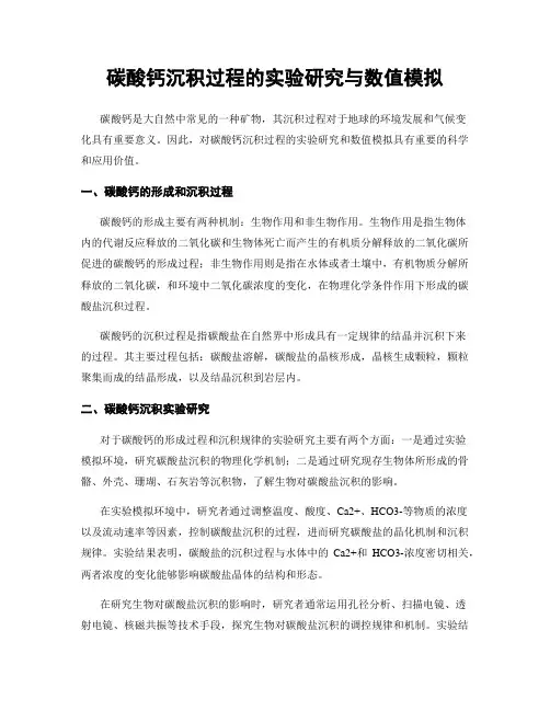 碳酸钙沉积过程的实验研究与数值模拟