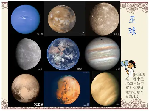初中政治  多彩的生命世界3 北师大版  优秀公开课件