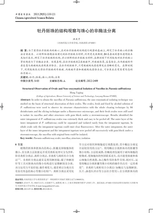 牡丹胚珠的结构观察与珠心的非酶法分离