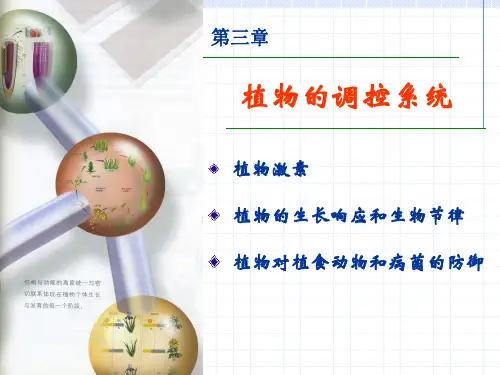 植物的调控系统