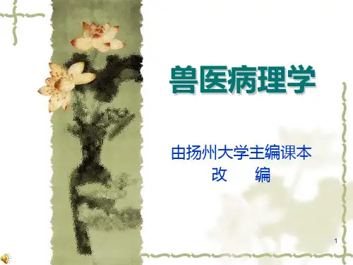 兽医病理学PPT课件