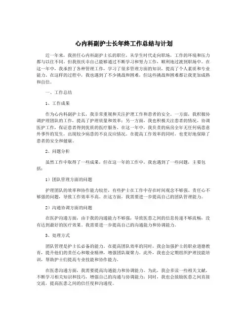 心内科副护士长年终工作总结与计划