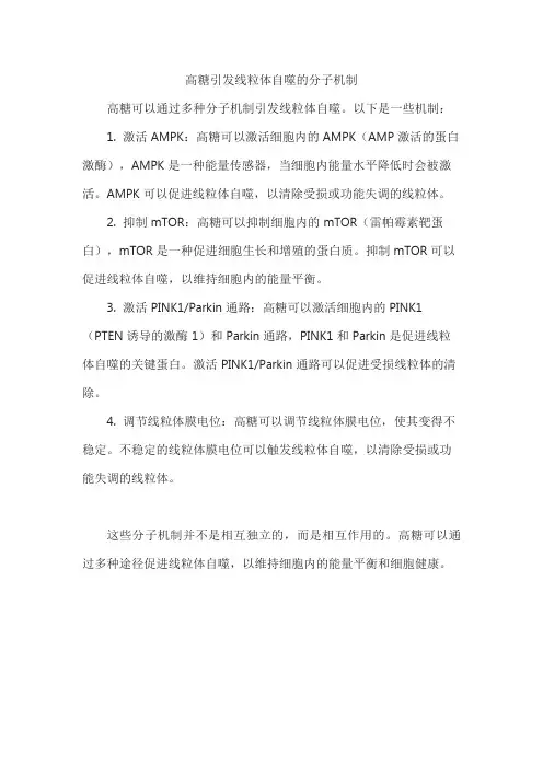 高糖引发线粒体自噬的分子机制