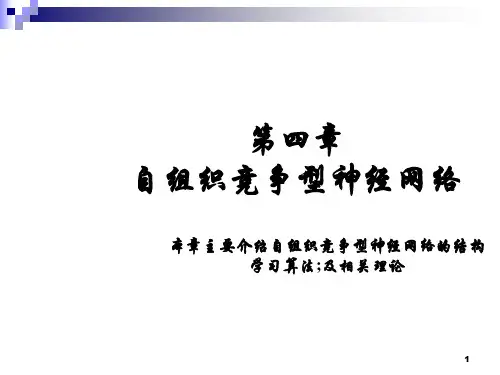 自组织竞争神经网络SOM