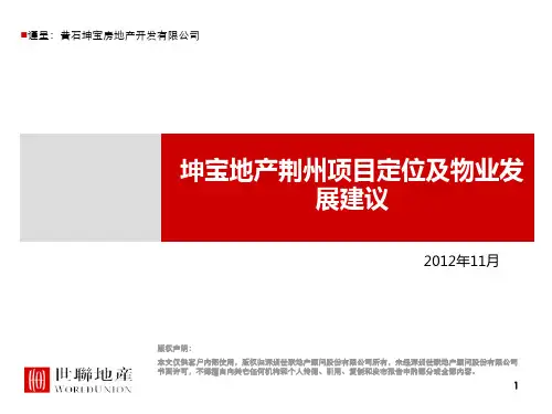 世联坤宝地产荆州项目定位及物业发展建议