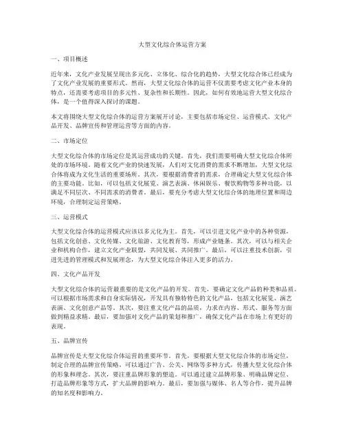 大型文化综合体运营方案