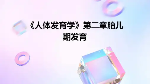 《人体发育学》第二章胎儿期发育