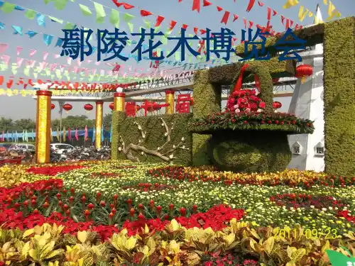 鄢陵花博会