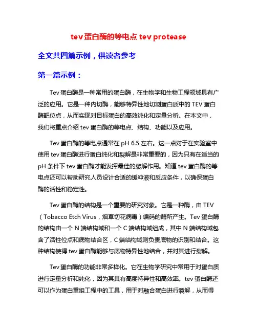tev蛋白酶的等电点tev protease