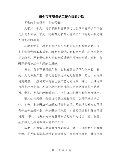 在全市环境保护工作会议的讲话