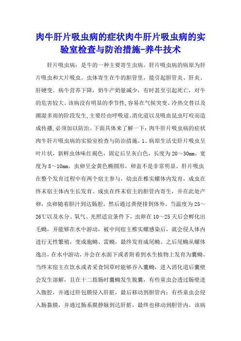 肉牛肝片吸虫病的症状 肉牛肝片吸虫病的实验室检查与防治措施 - 养牛技术