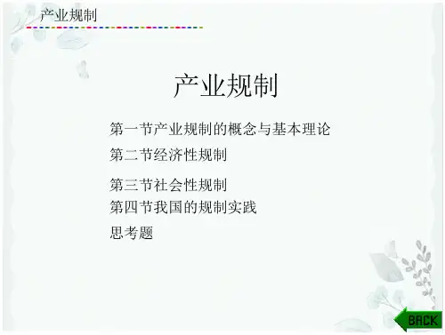产业经济学产业规制