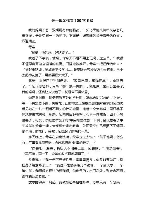 关于母亲作文700字5篇