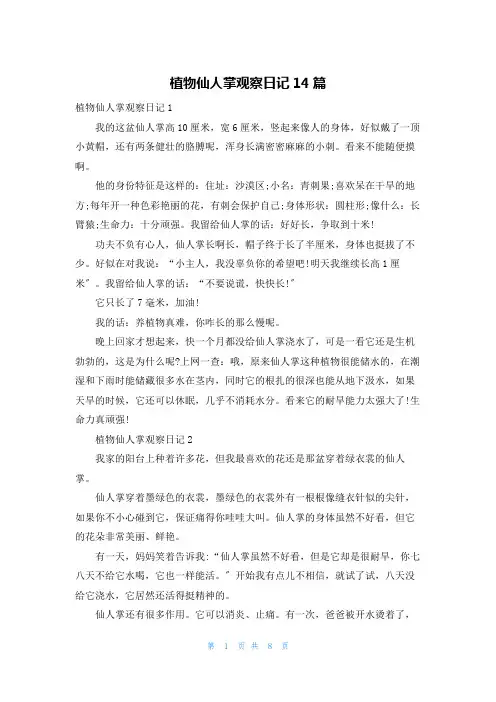 植物仙人掌观察日记14篇