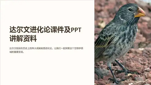 达尔文进化论课件及PPT讲解资料