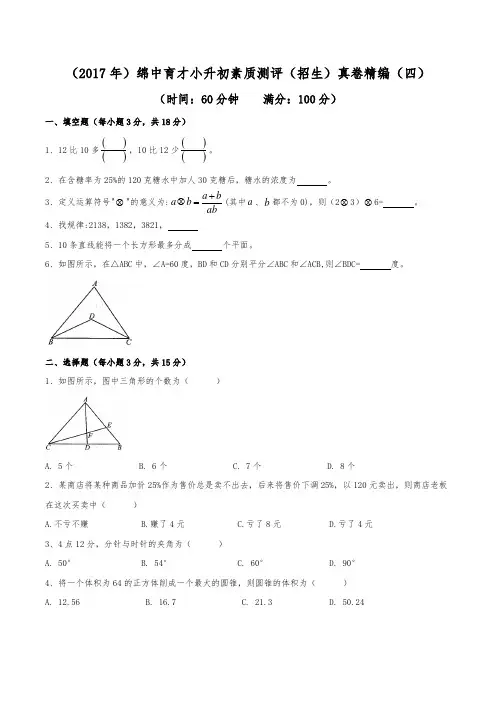 (2017年)绵阳中学育才学校小升初招生真卷精编(四)