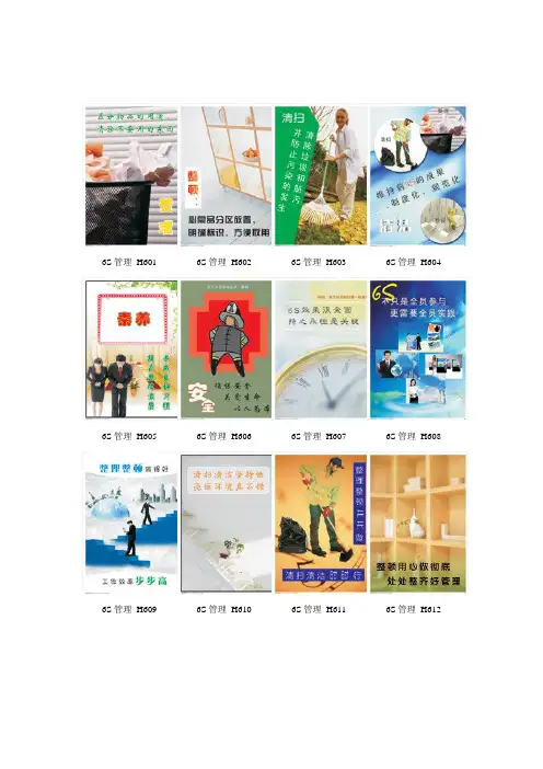 6S图标