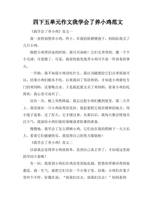 四下五单元作文我学会了养小鸡范文
