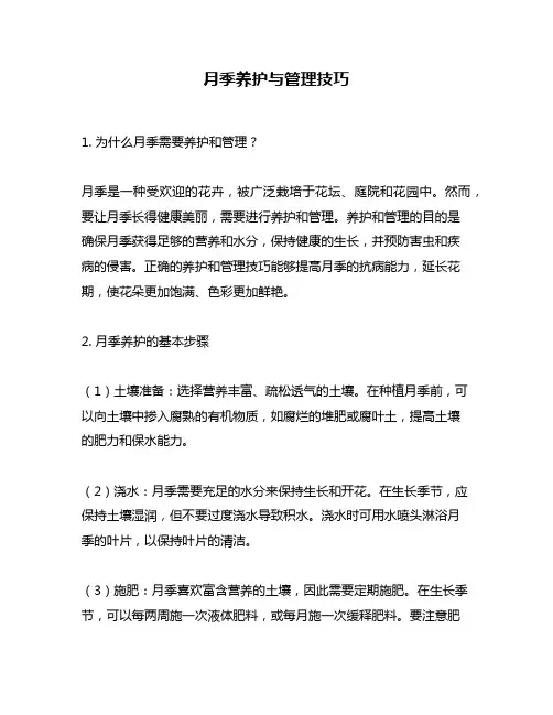 月季养护与管理技巧