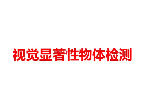 视觉显著性物体检测