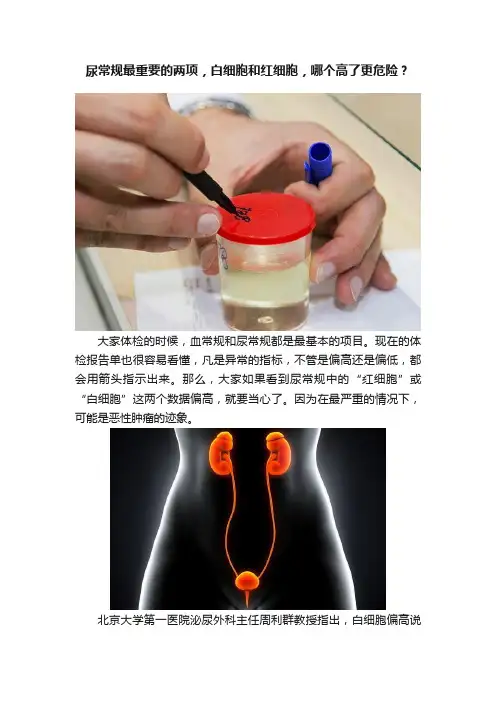 尿常规最重要的两项，白细胞和红细胞，哪个高了更危险？