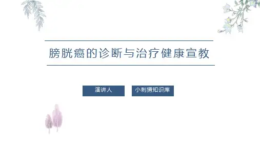 膀胱癌的诊断与治疗健康宣教PPT课件