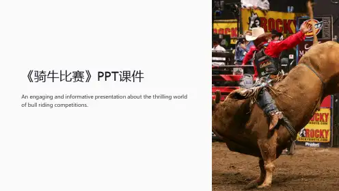 《骑牛比赛》课件
