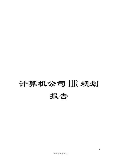 计算机公司HR规划报告