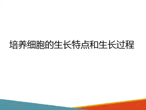 细胞培养基本知识 基本知识1培养细胞的生长特点和生长过程
