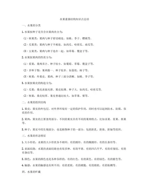 水果素描结构知识点总结