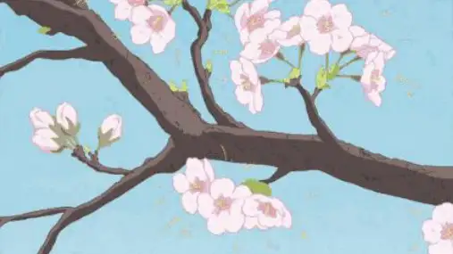 《学习仿写》作文指导-完整版PPT课件