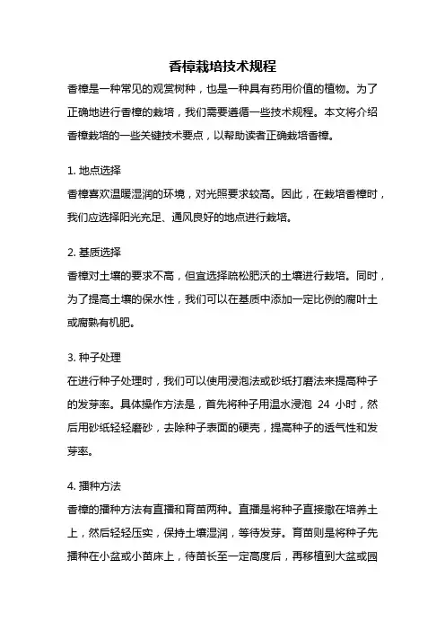 香樟栽培技术规程