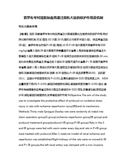 普罗布考对肾脏缺血再灌注损伤大鼠的保护作用及机制